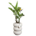 amber roll high 43cm leinenweiß